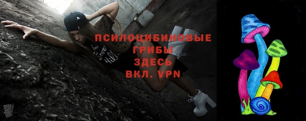 дживик Дмитров